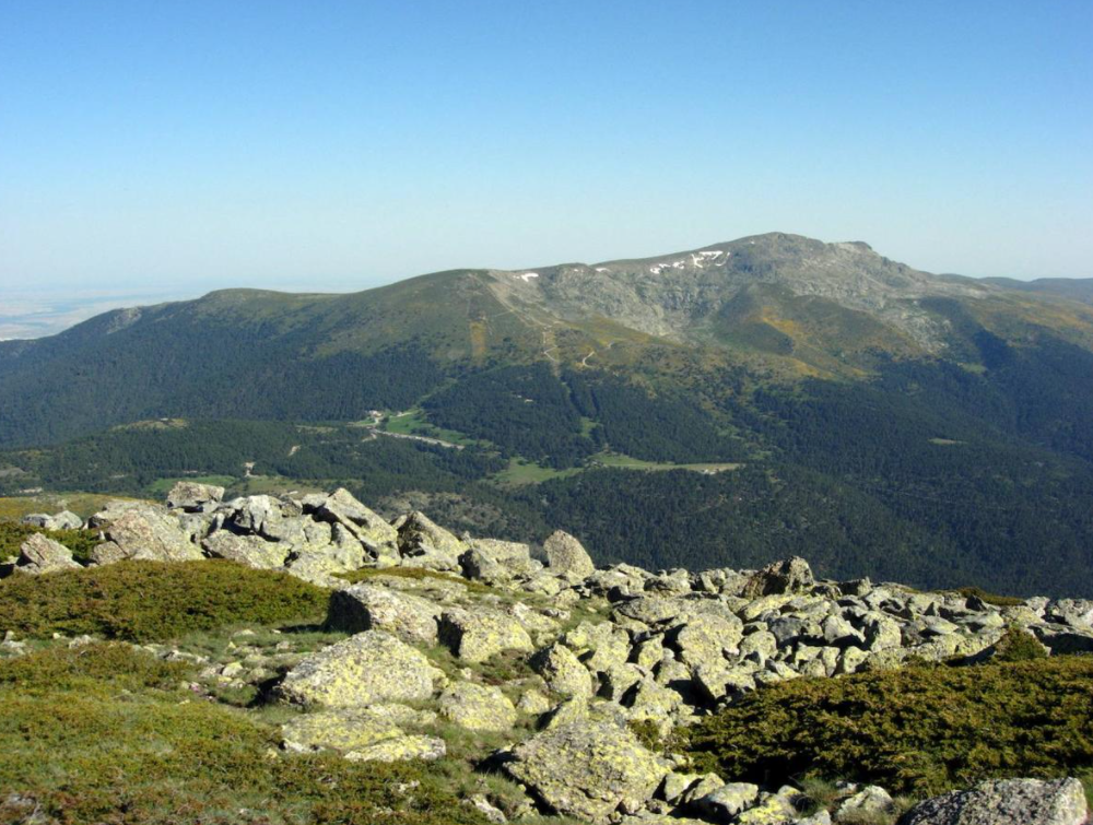 Esta montaña del interior de la península ibérica es la más alta de la Sierra de Guadarrama, con nada menos que 2.428 metros de altitud. El pico es uno de los más emblemáticos de este sistema montañoso y forma parte del Parque nacional de la Sierra de Guadarrama. Además es de fácil acceso gracias a su proximidad al puerto de Cotos.