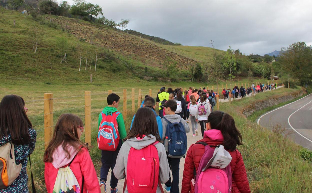 Grupo de escolares realizando una ruta por el municipio de Camaleño, antes de la pandemia. 