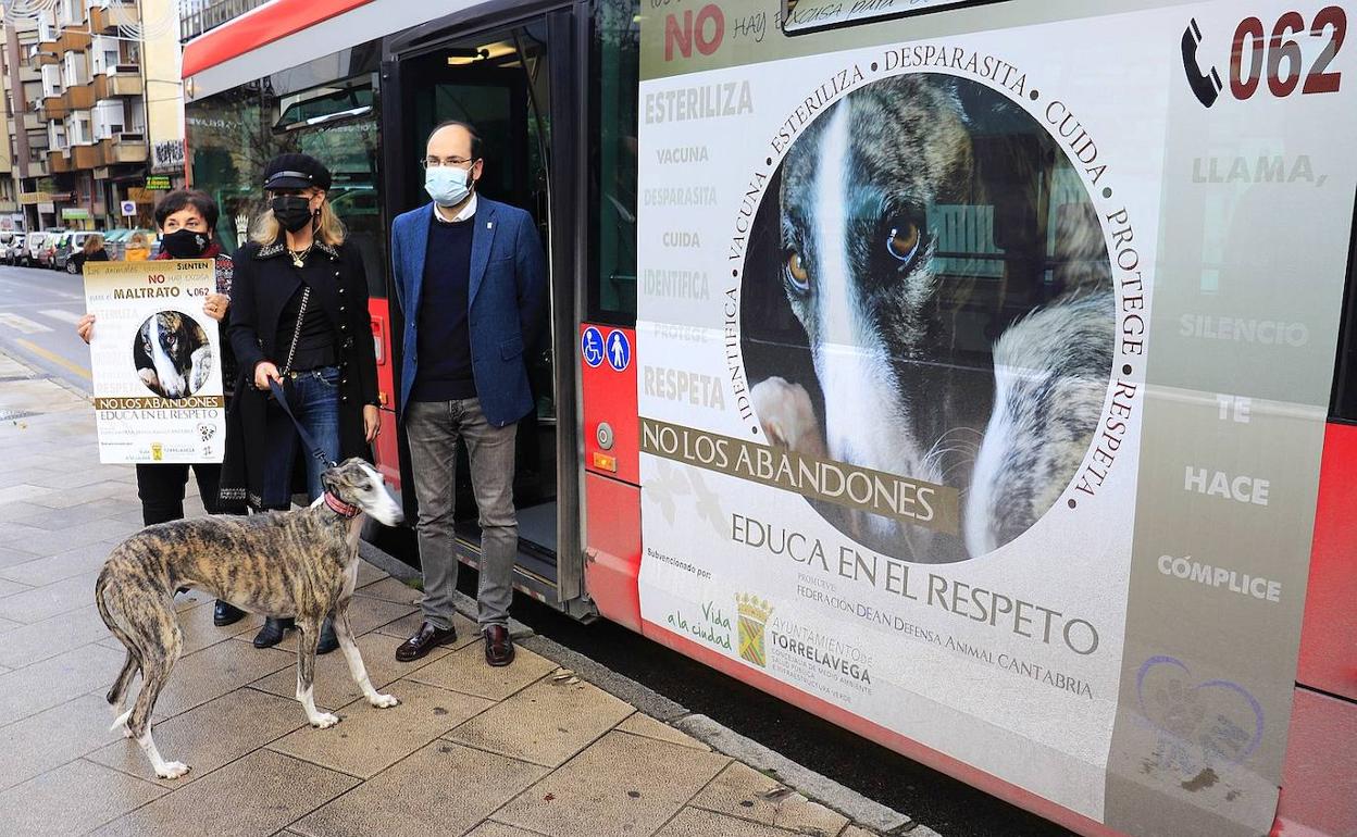 Torrelavega lanza una campaña de concienciación sobre el maltrato y animal