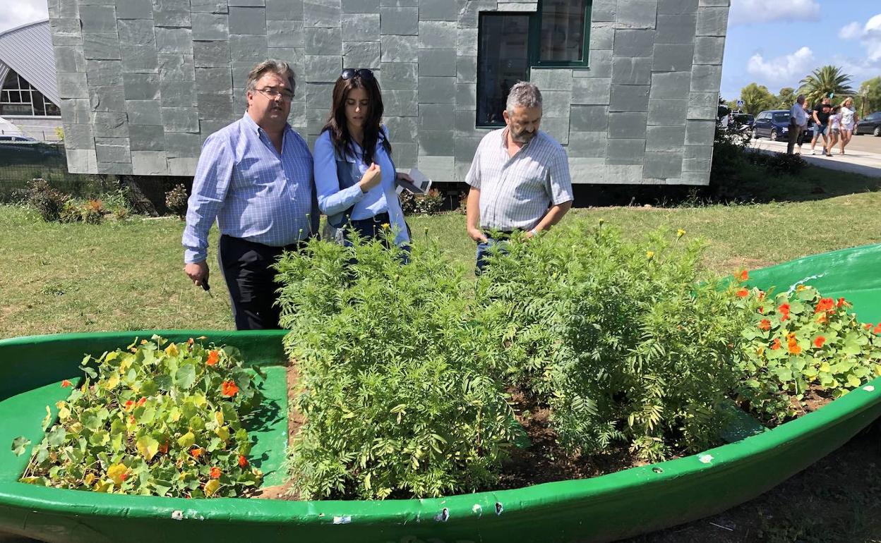 Noja pone en marcha un taller de empleo sobre actividades en viveros y jardines
