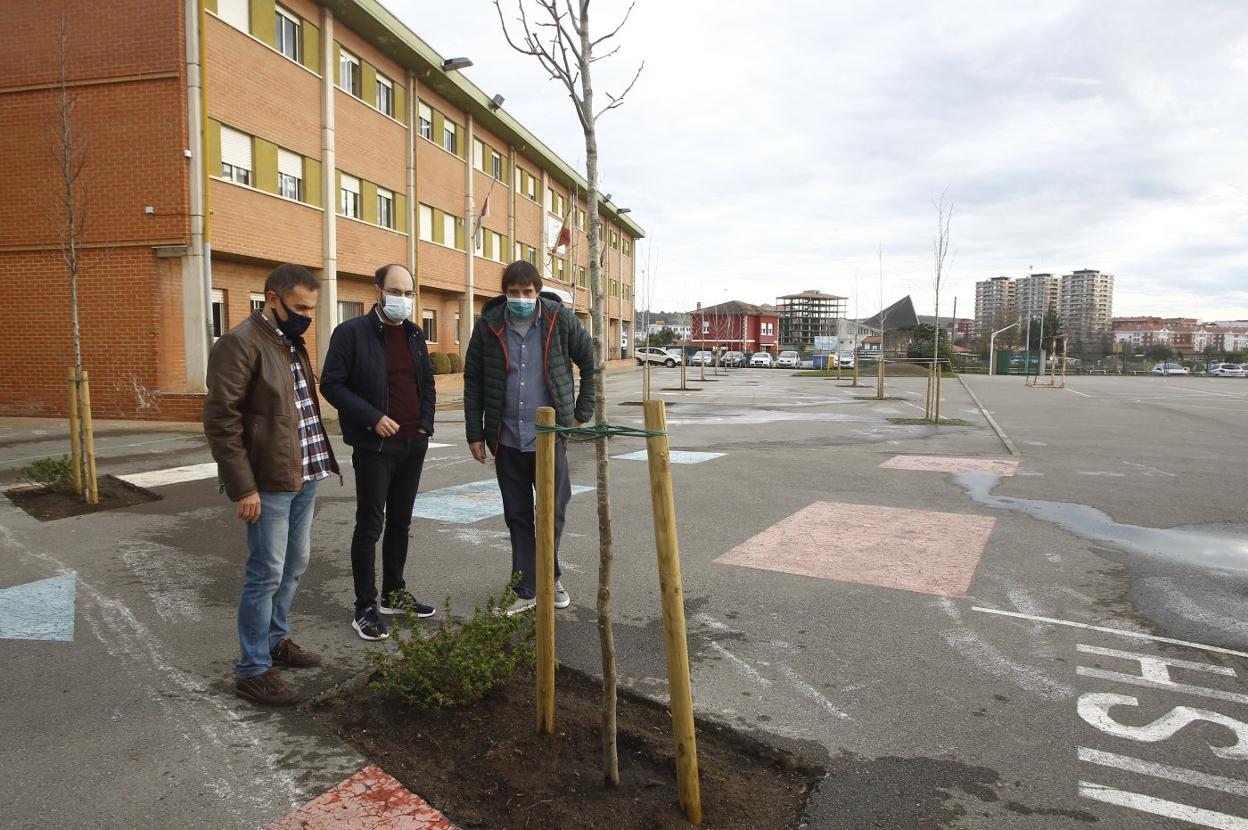 Árboles plantados en el colegio Mies de Vega. 