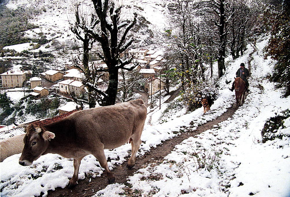 Noviembre de 1996. Nevada en Cucayo.