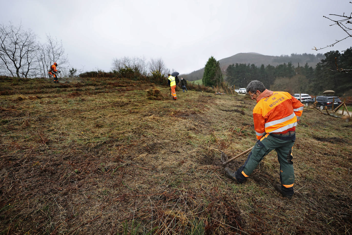 La Consejería de Desarrollo Rural reconoce la labor de los bomberos forestales, «que realizan tareas muy diversas»