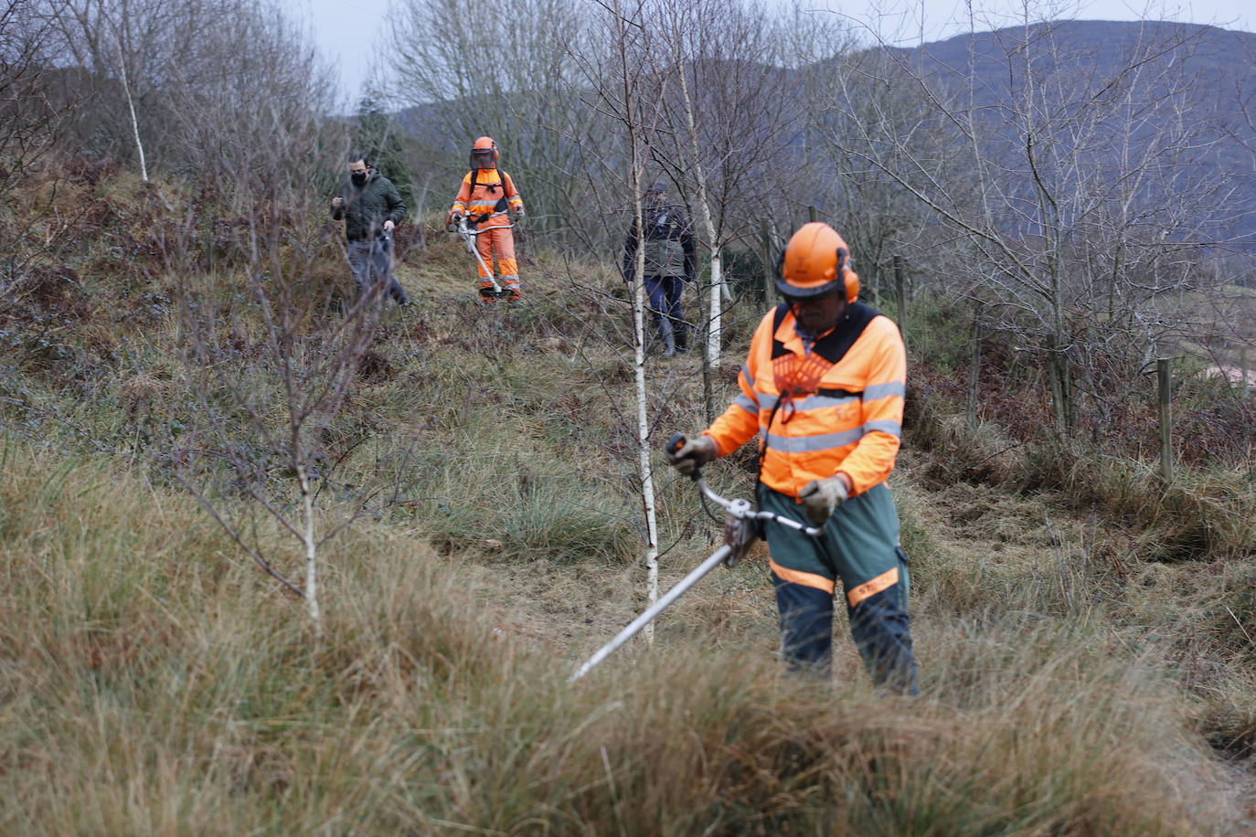 La Consejería de Desarrollo Rural reconoce la labor de los bomberos forestales, «que realizan tareas muy diversas»