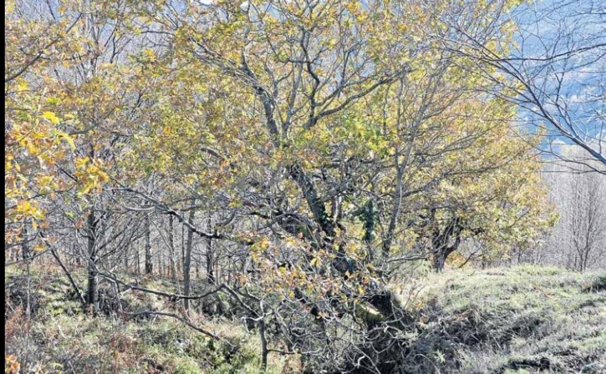 Paraje natural en Valle de Villaverde.