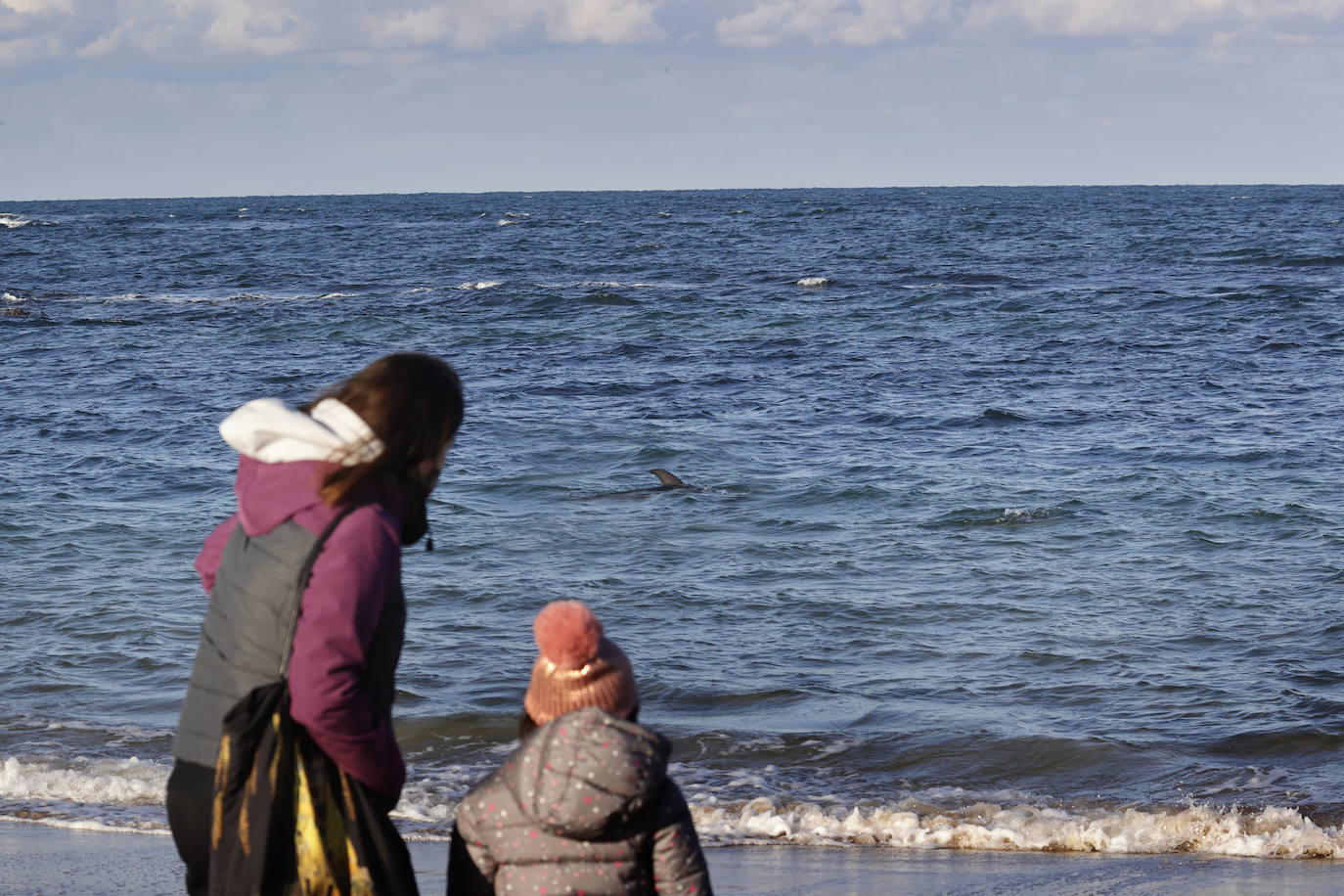 Un delfín merodea las aguas de Comillas, muy cerca de la costa