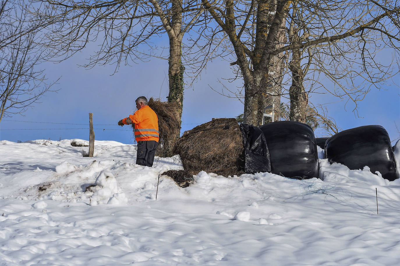 La nieve está complicando estos días la vida y las labores de los vecinos de San Roque de Riomiera. 