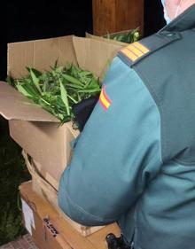 Imagen secundaria 2 - Desmantelada una plantación de marihuana dentro de una casa alquilada por dos italianos en Castro Urdiales