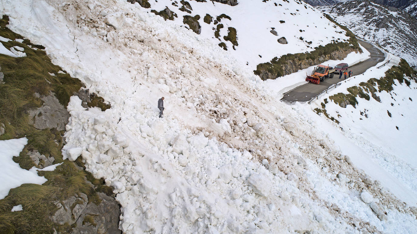 Un gran alud de nieve ha sepultado la carretera de acceso a Tresviso, dejando por ahora incomunicado, por carretera, el acceso a este pequeño municipio de Liébana, de 59 habitantes. En estos momentos, una empresa externa, por encargo del Ayuntamiento, está trabajando en despejar la carretera