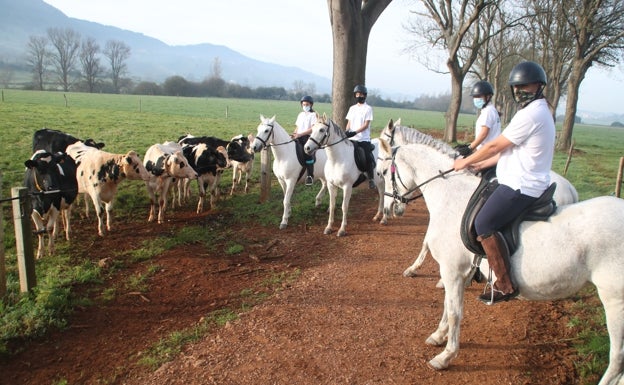 La Granja cuenta con 70 hectareas con distintos usos para ganadería y agricultura 