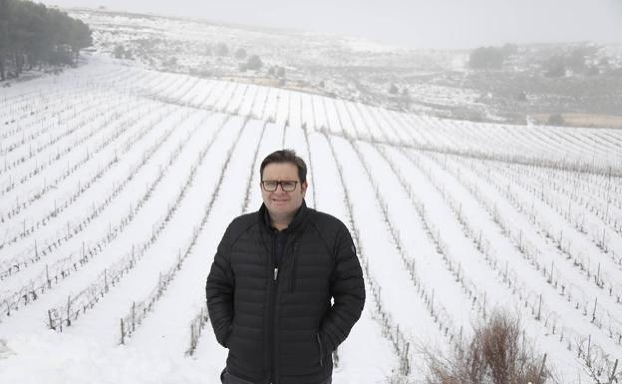 Peique: «Las nevadas que han caído favorecerán el buen desarrollo de las viñas»