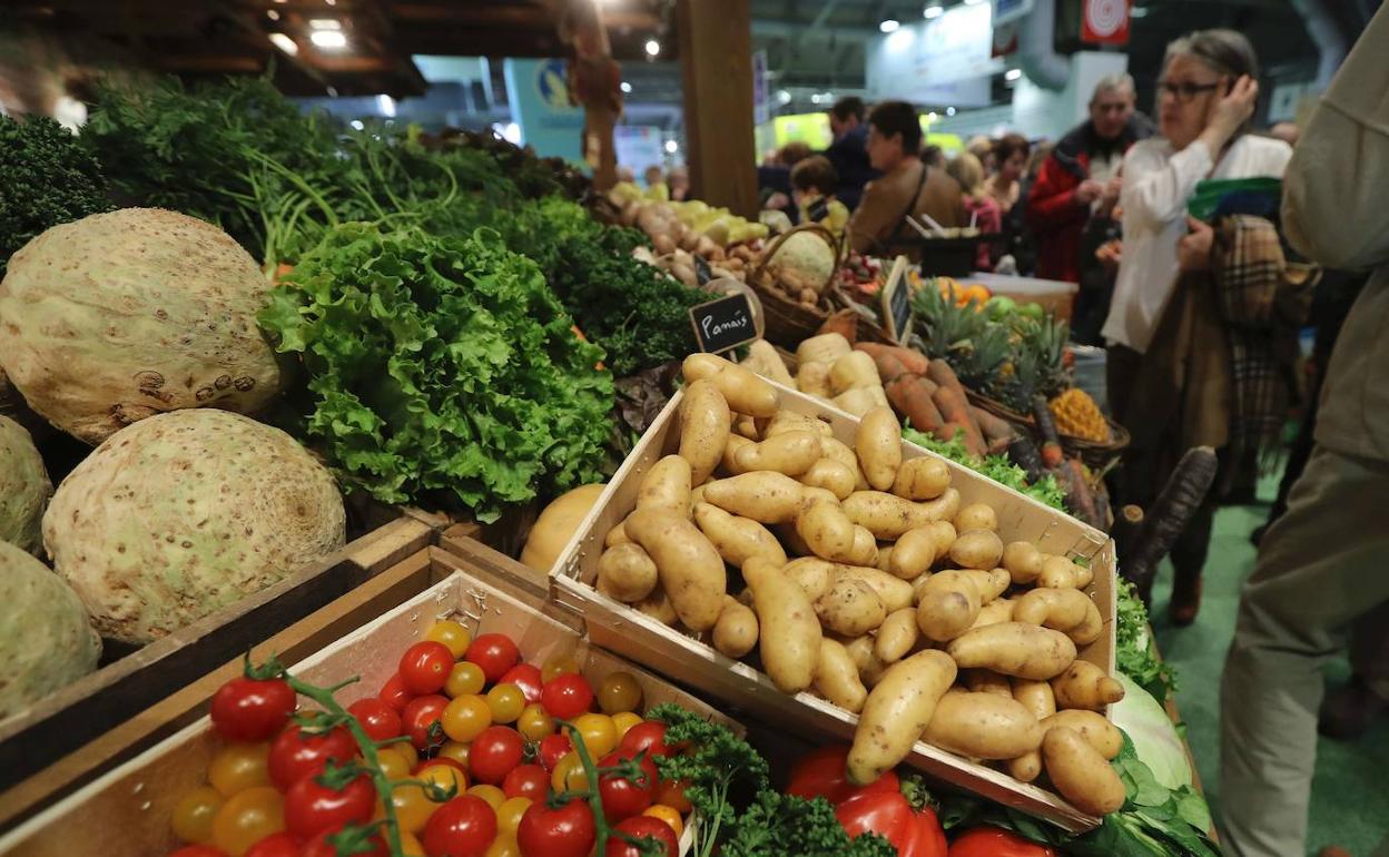 Pequeñas dosis de nicotina tienen efectos beneficiosos para la salud mental y están presentes en alimentos como el tomate o la patata. 