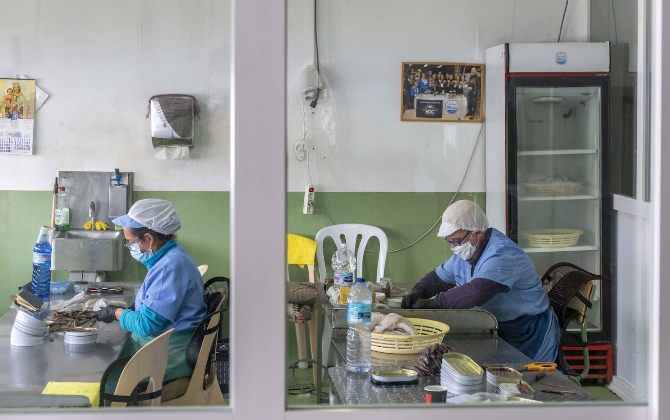 Las conserveras trabajan con rigurosas medidas anti-covid.