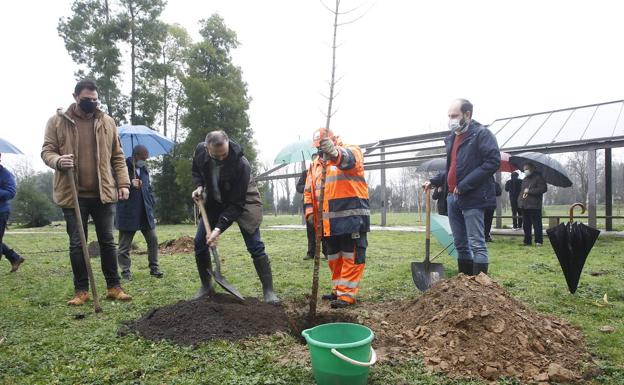 Imagen principal - El Gobierno restaura el parque de La Viesca con la plantación de un millar de nuevos árboles autóctonos