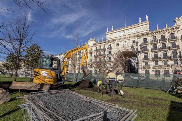 El vallado y trasplante de árboles abre las fases de las obras del Proyecto Pereda 