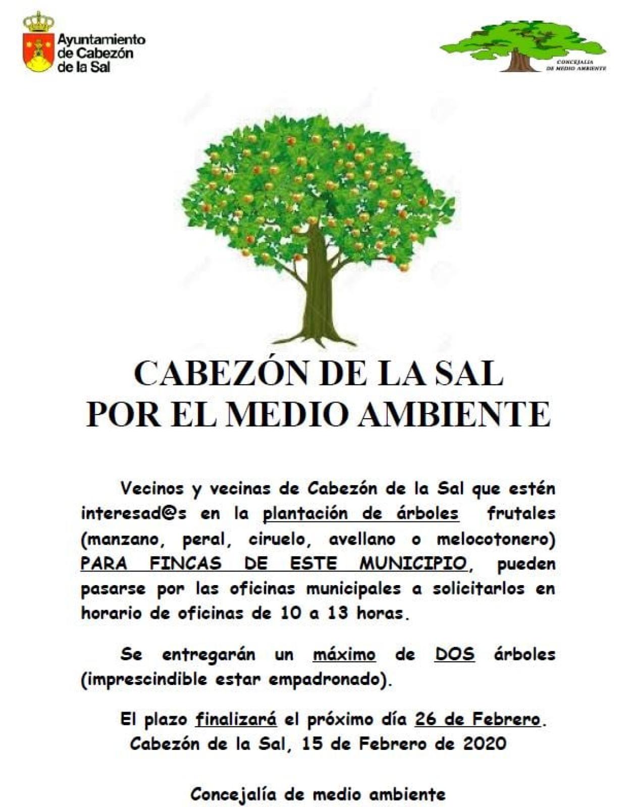 Cartel del Ayuntamiento de Cabezón en el que se informa sobre la plantación de árboles. 