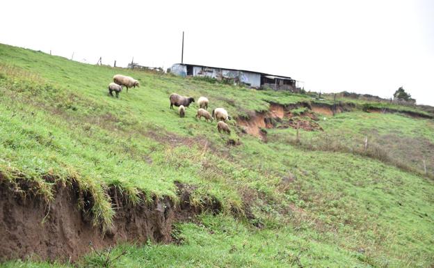 Una obra sin licencia en la pedanía de Igollo «provoca destrozos» en la cueva de El Juyo