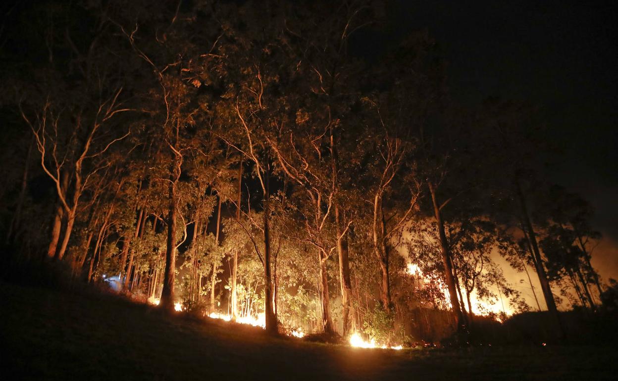 Las llamas fueron controladas por los Bomberos de Santander hacia las 22.30 horas.