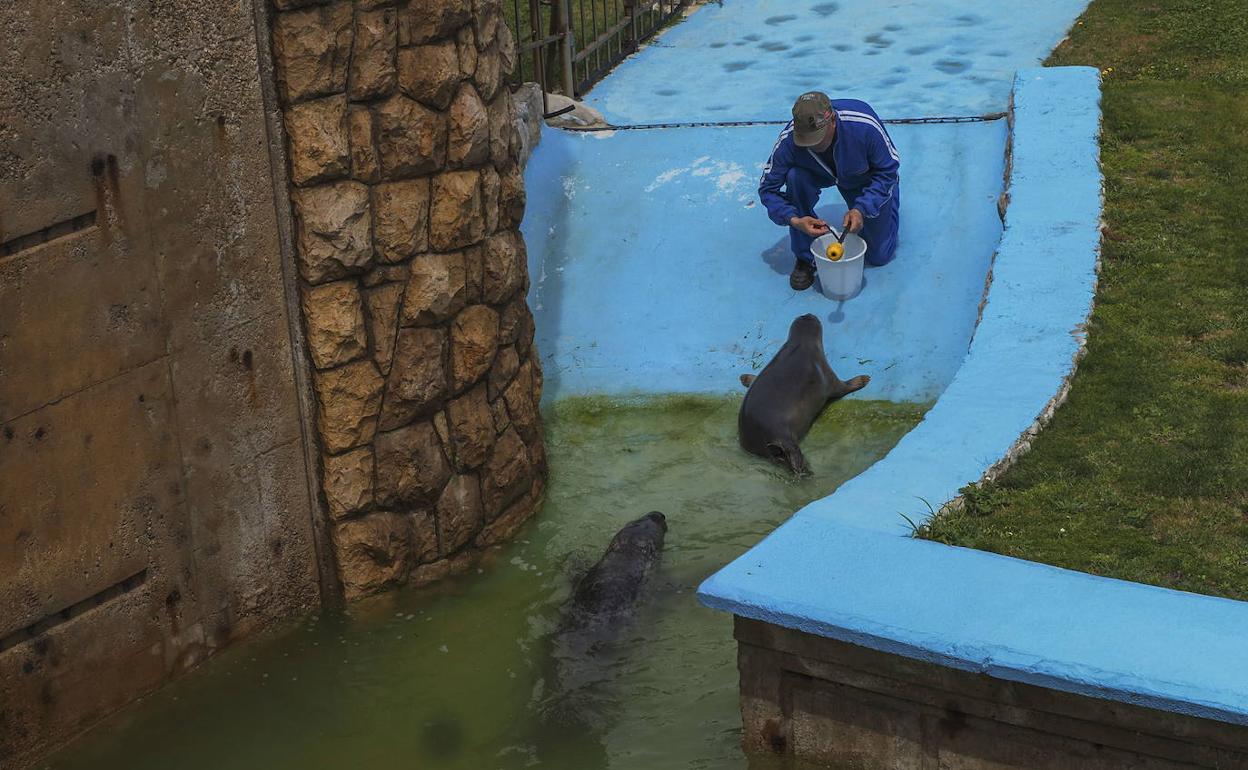 Un empleado con algunos de los animales que viven en el recinto.