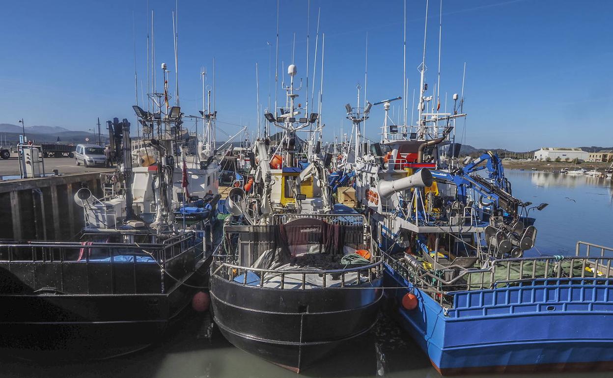 El Gobierno ayudará a los jóvenes pescadores a adquirir su primer barco