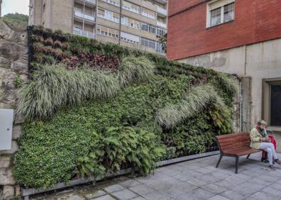 Imagen secundaria 1 - Un jardín vertical que da la vuelta al mundo