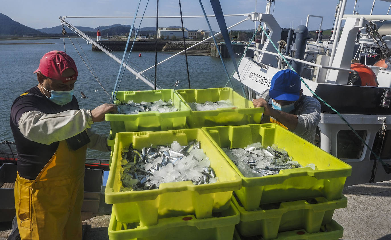 Fotos: Tiempo de pesca