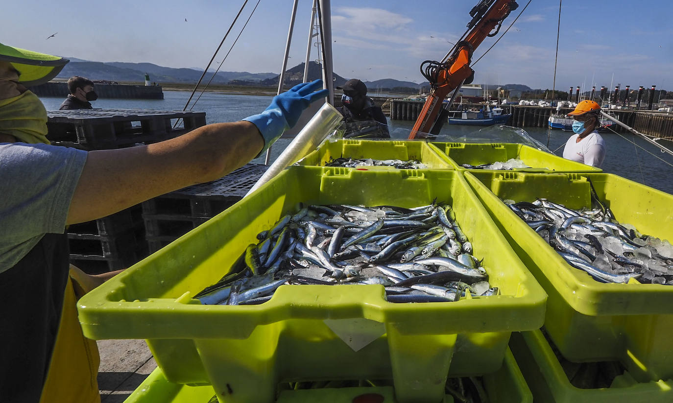 Fotos: Tiempo de pesca