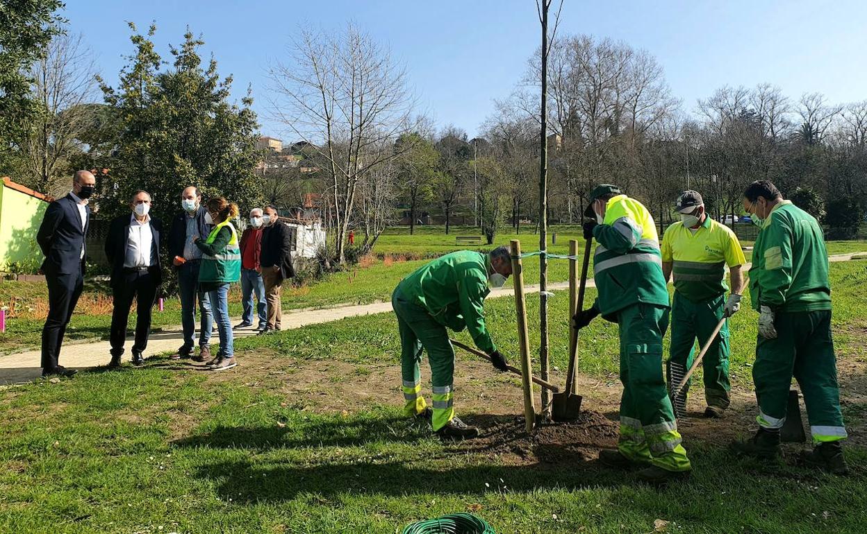 Empieza la plantación del parque de Miravalles, el próximo «pulmón verde» de la ciudad