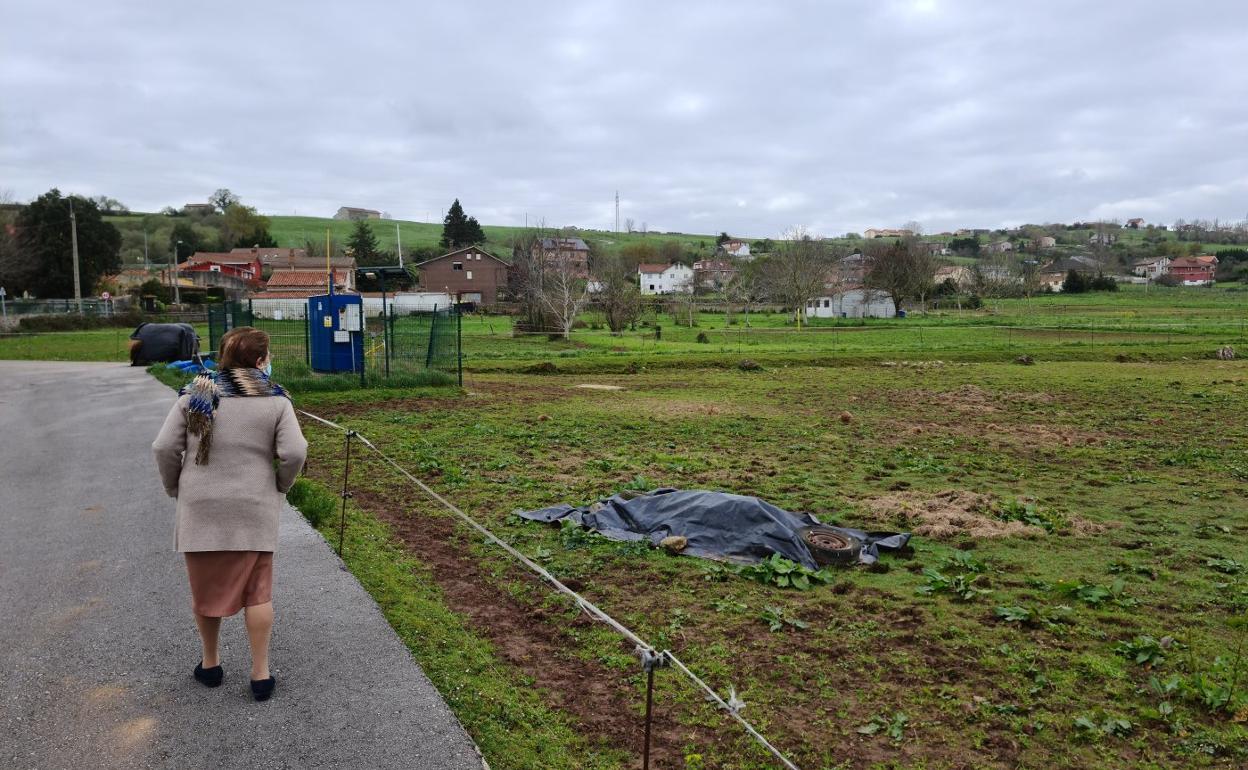 Una vecina camina junto al cadáver del caballo, tapado y abandonado desde hace dos meses en una finca de Revilla de Camargo