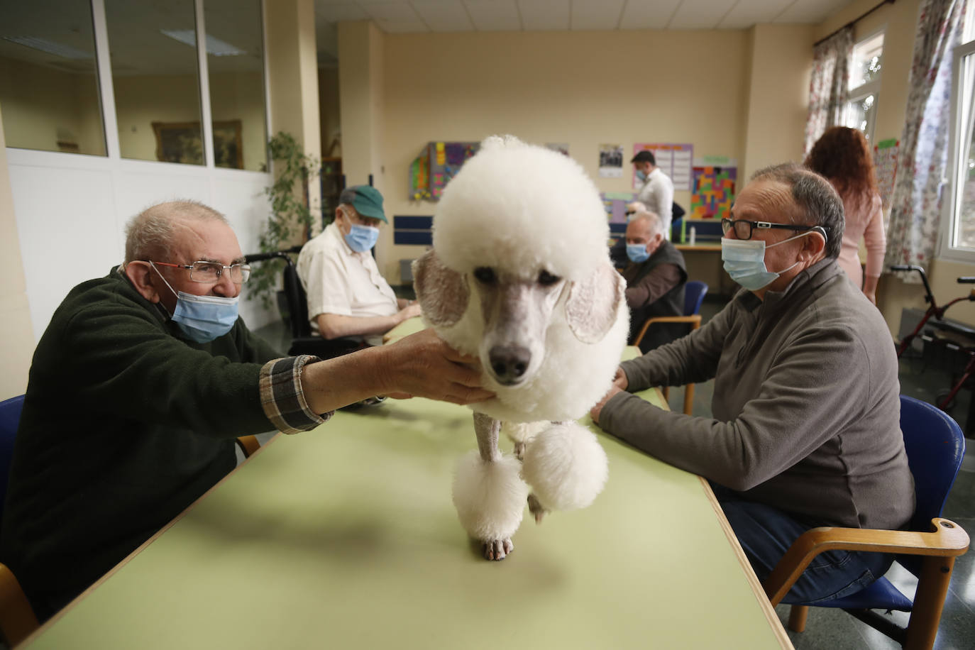 La residencia retoma la terapia con los animales del Centro Canino Besaya tras paralizar durante un año todas las actividades 