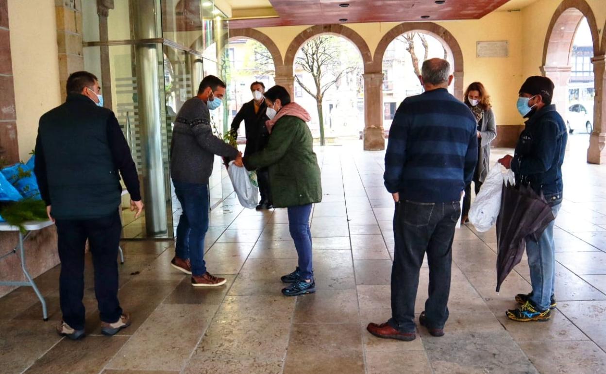 Vecinos recogen sus árboles en los bajos del Ayuntamiento de Comillas. 