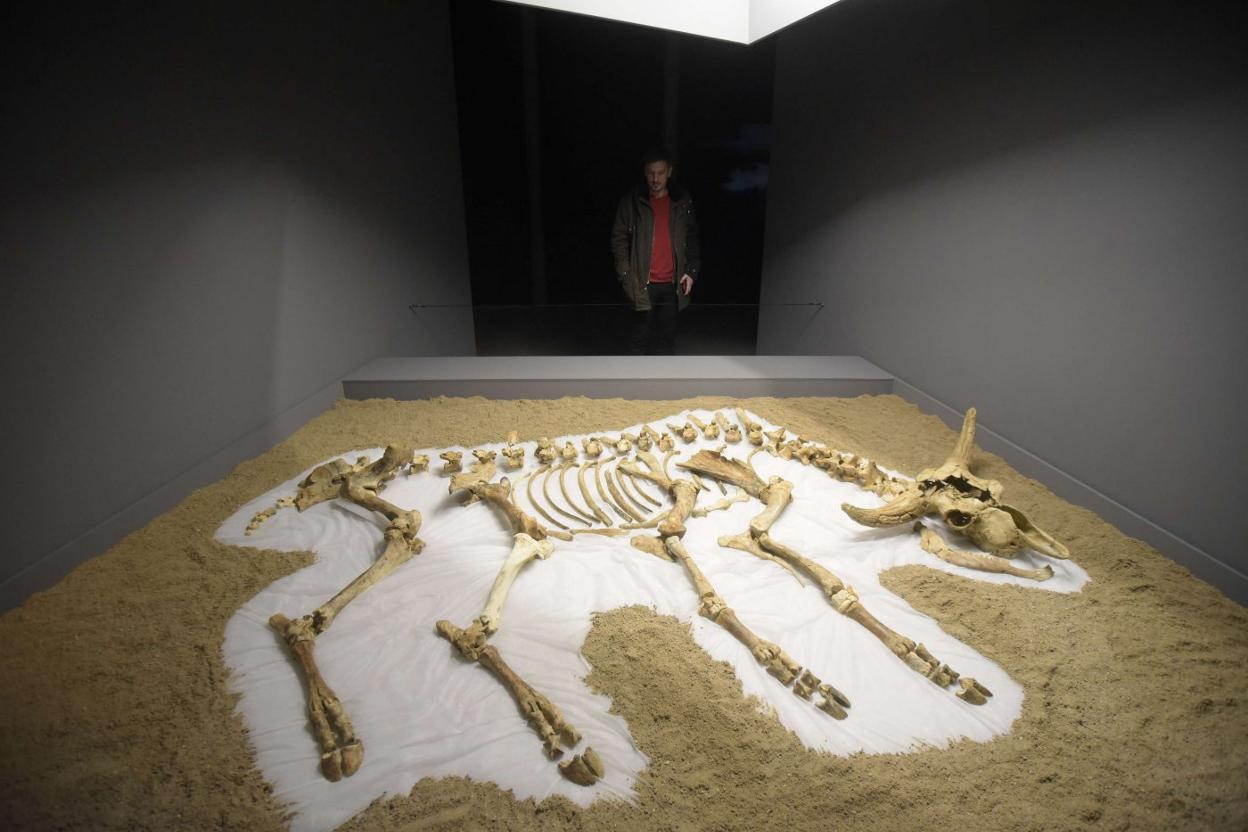 Detalle de la muestra, que viaja ahora a Santillana, durante su exhibición en el Museo San Telmo de San Sebastián. 