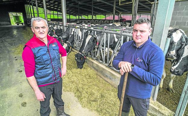 Carlos y Maikel Media, padre e hijo, gestionan junto a su familia dos eplotaciones de leche y de carne.