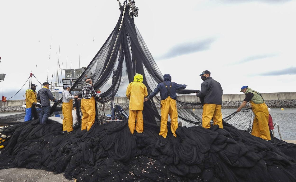 Un grupo de pescadores recogen y colocan las redes tras llegar a puerto con las capturas.