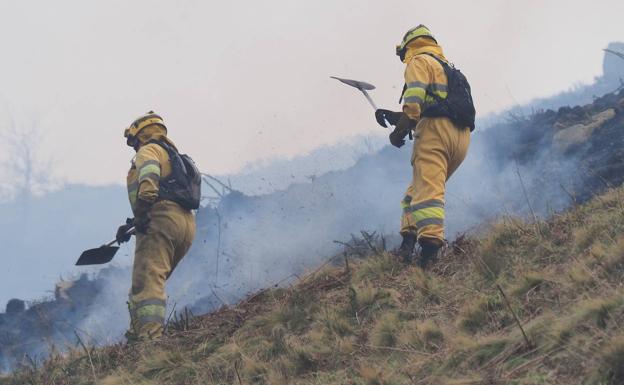 Imagen principal - «Los incendiarios actúan como profesionales y nos perjudican a todos»