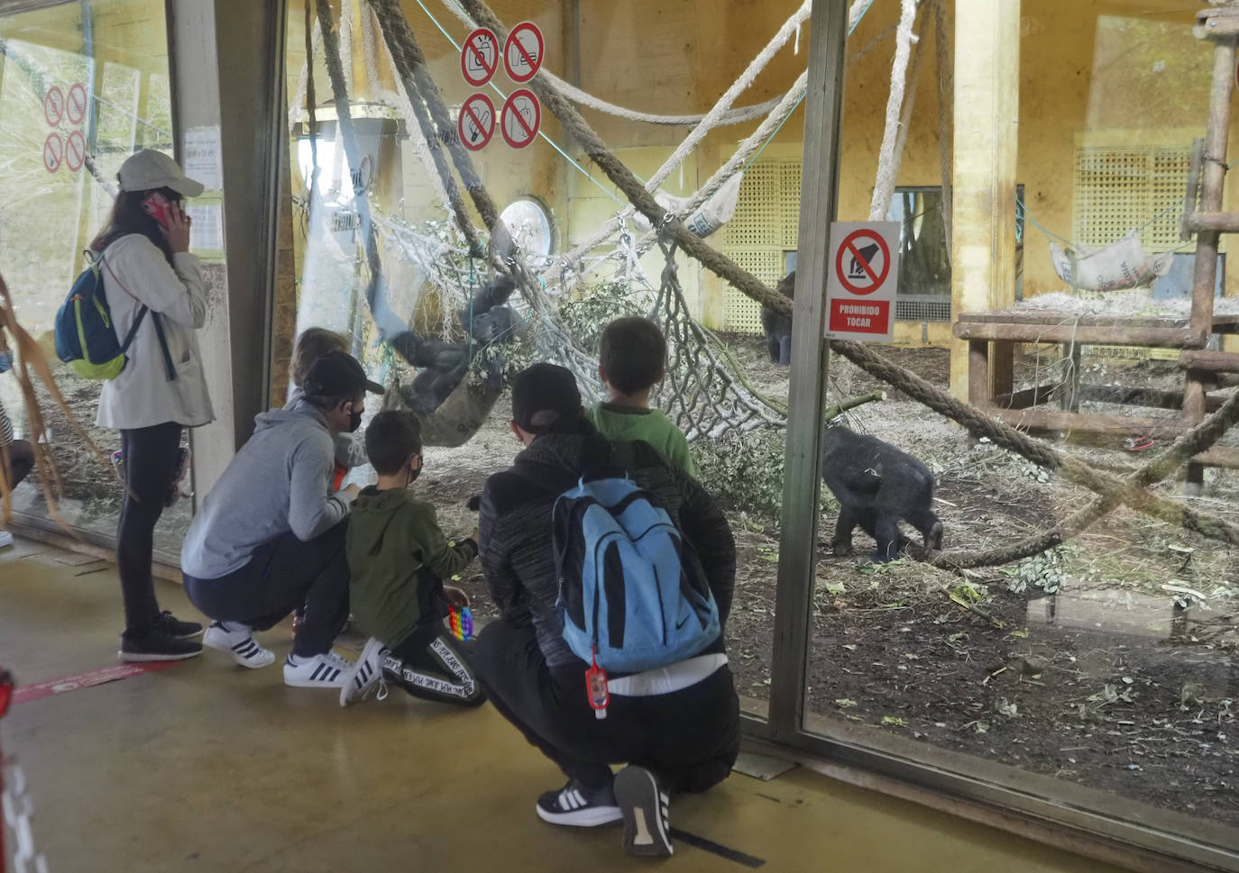 Fotos: Un Parque de Cabárceno desangelado en plena Semana Santa