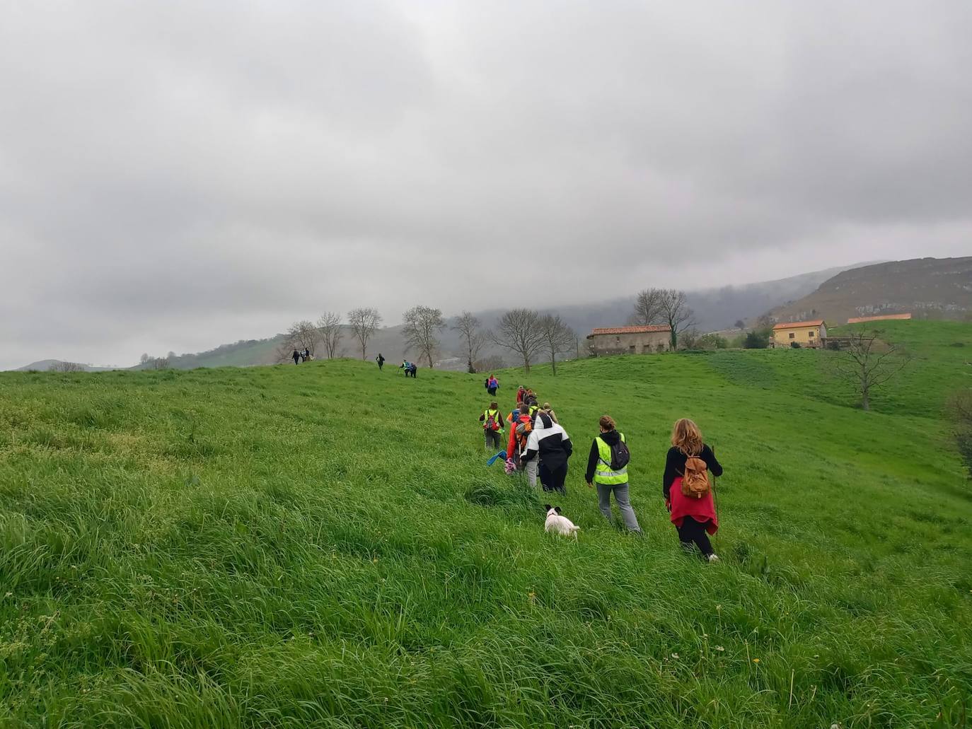 Vecinos de Riotuerto realizaron este sábado un recorrido de varias horas en un itinerario guiado desde el barrio de Arriba hasta Brenas, donde Green Capital tiene previsto instalar el primer aerogenerador camino de Alisas