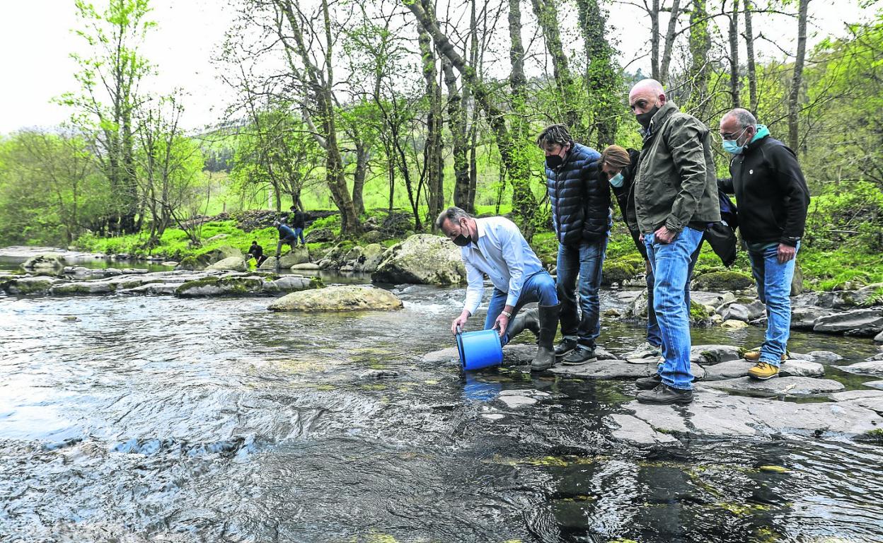 Guillermo Blanco en el momento de soltar los alevines de salmón al río Nansa. DM