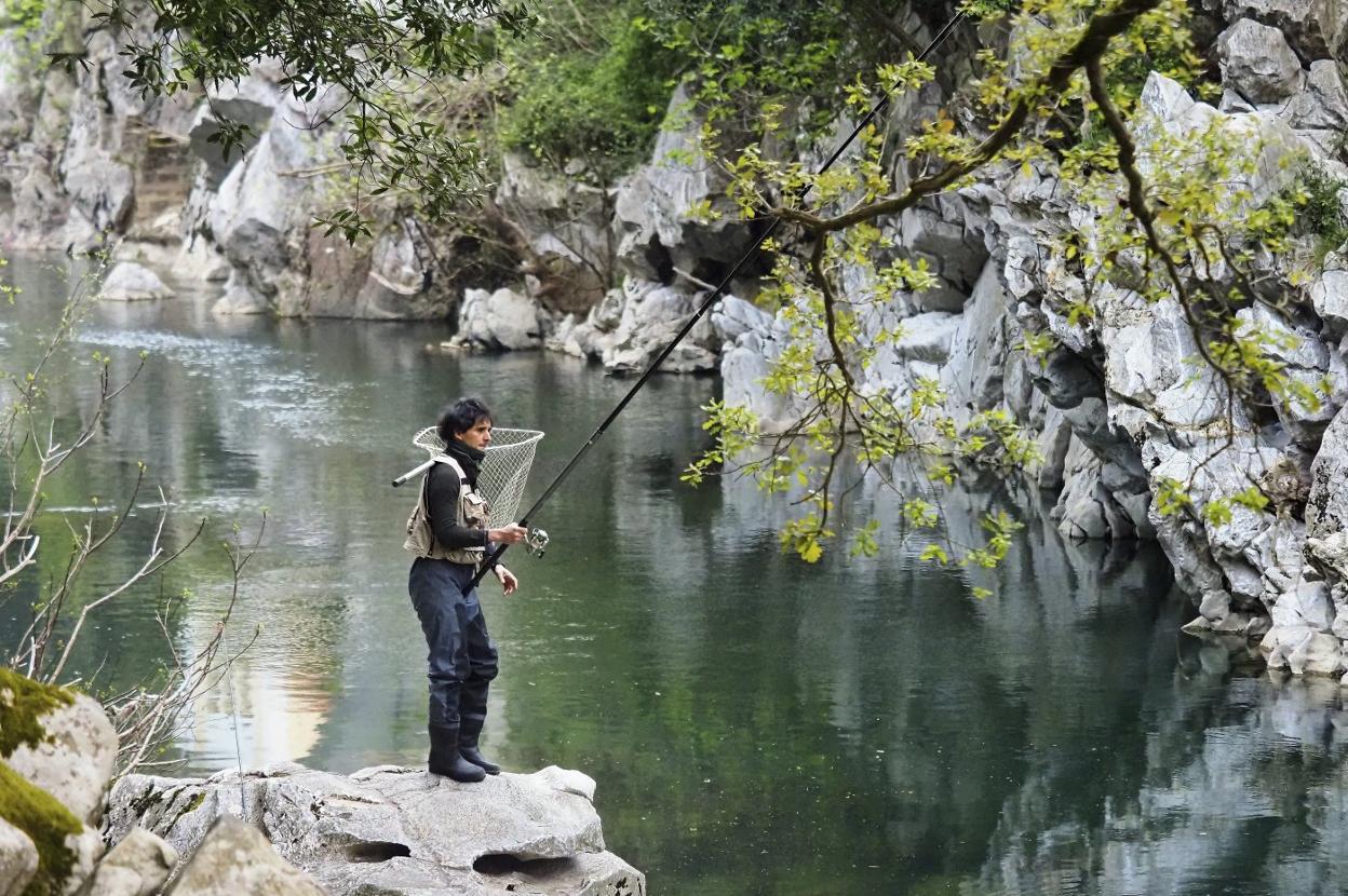 Los ríos cántabros apenas han dado tres salmones en la primera semana de temporada de pesca. 