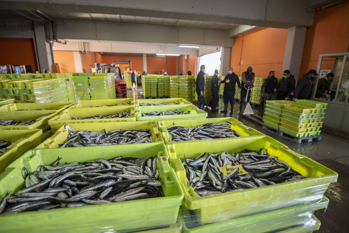 La toponimia en la villa pesquera es de lo más rica y heterogénea en el puerto de Santoña. El ir y venir de monos de colores, cajas colmadas de peces y carretillas elevadoras concede una oportunidad única de descubrir a personas de todo el planeta. No ya de España, con gallegos, vascos, asturianos y cántabros al frente, sino de Senegal, Rusia, Marruecos, Ghana, Perú y más 