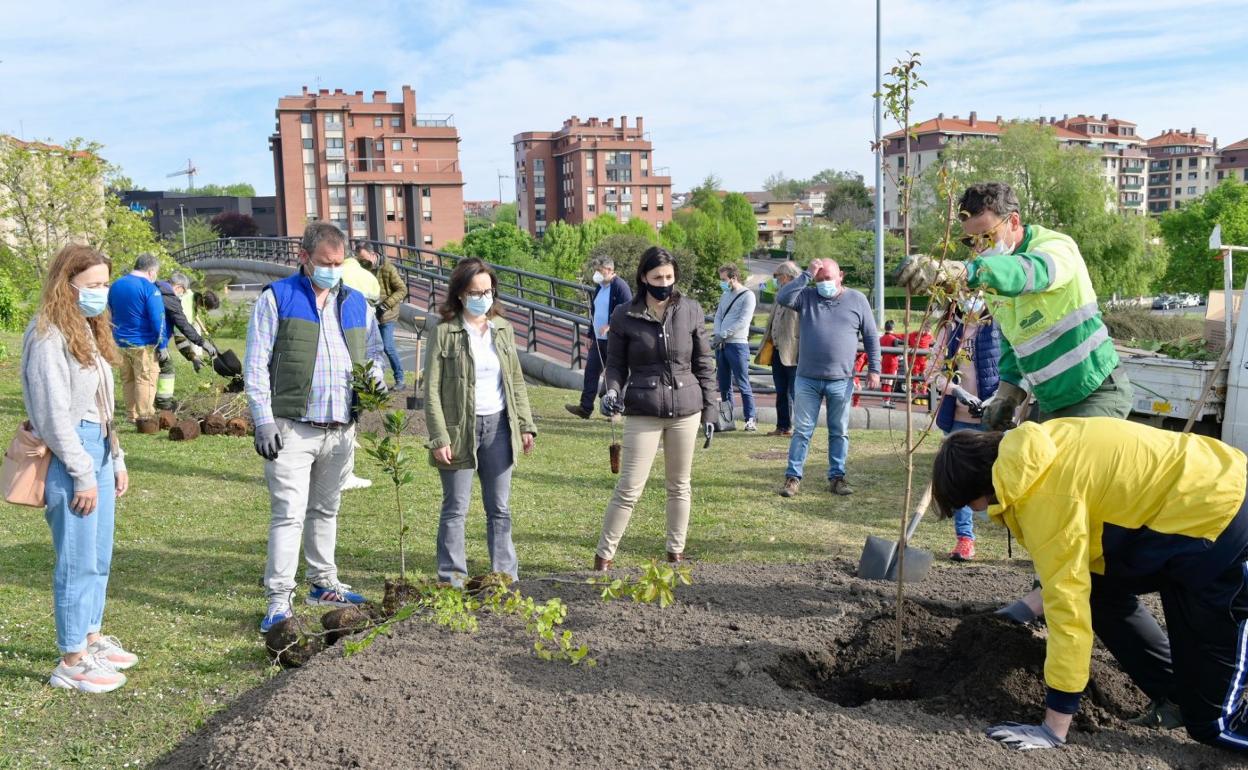 Un momento de la plantación de arbustos en Monte. 