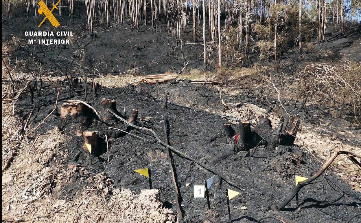 Zona afectada por el incendio de Sámano, que arrasó con 5 hectáreas