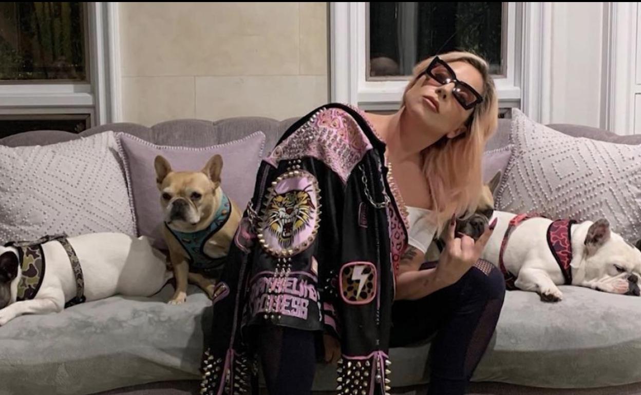 Cinco detenidos por el secuestro de los perros de Lady Gaga