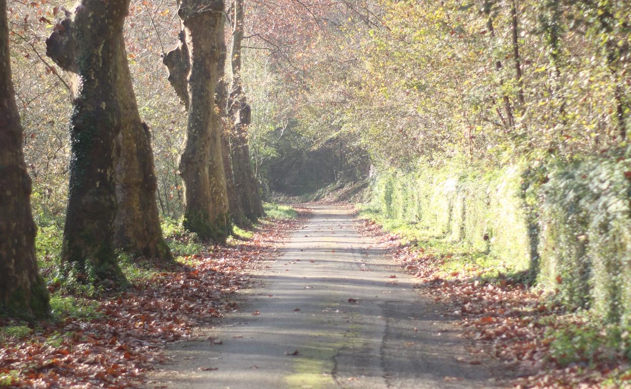 El entorno de la Fuente del Francés será restaurado y su carretera será convertido en un paseo