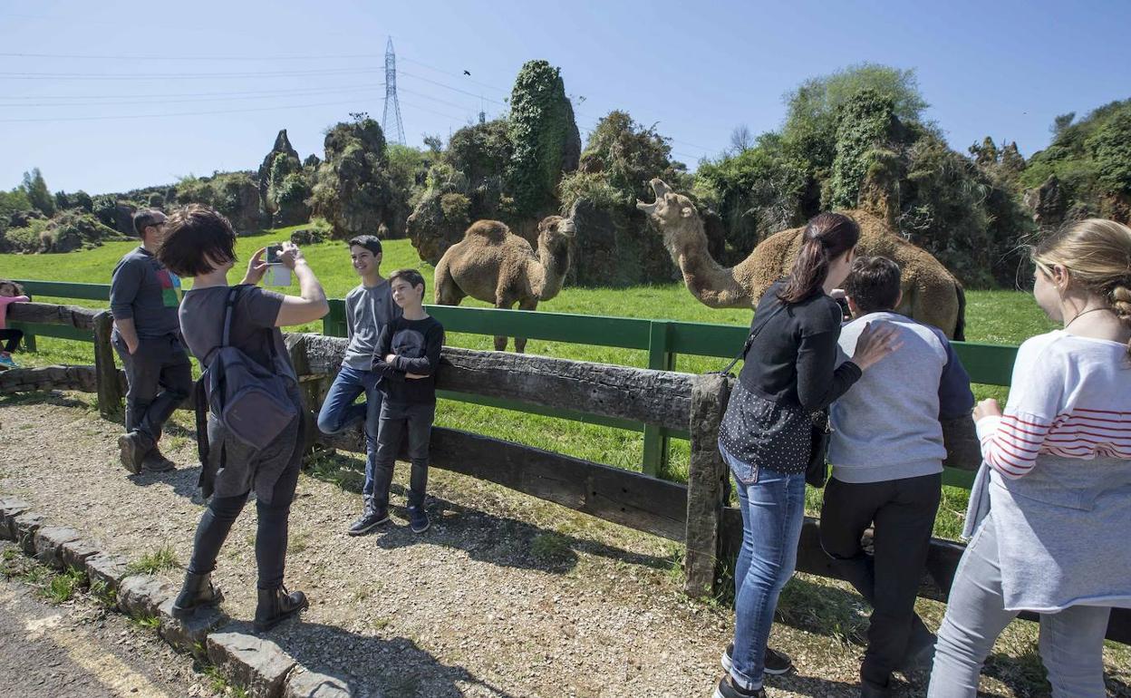 Turistas en el Parque de la Naturaleza de Cabárceno.