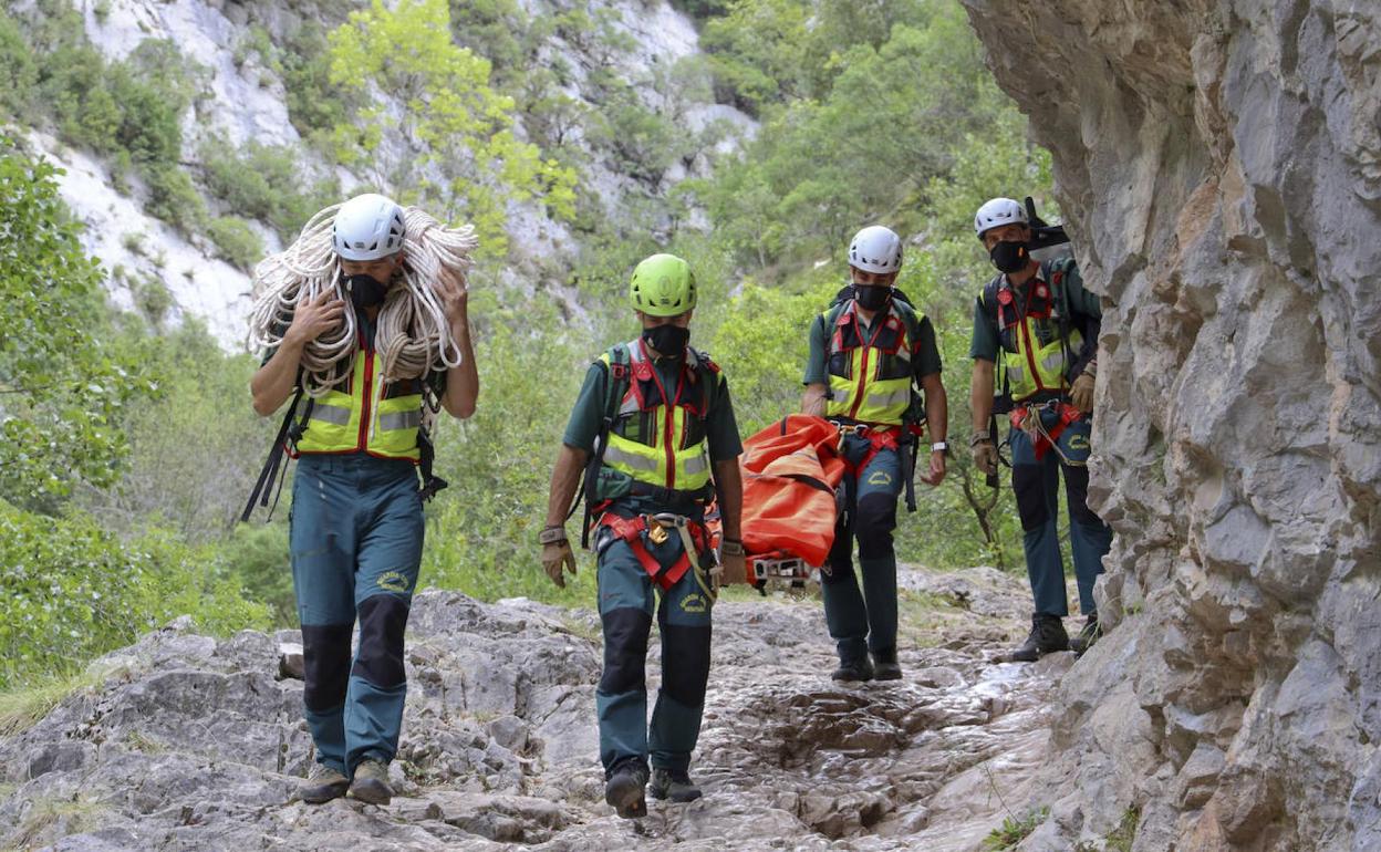 En esta galería puede ver cómo trabaja el Greim de Potes.