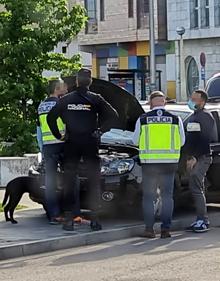 Imagen secundaria 2 - Desarticulada una organización criminal de origen latino que distribuía droga en Cantabria