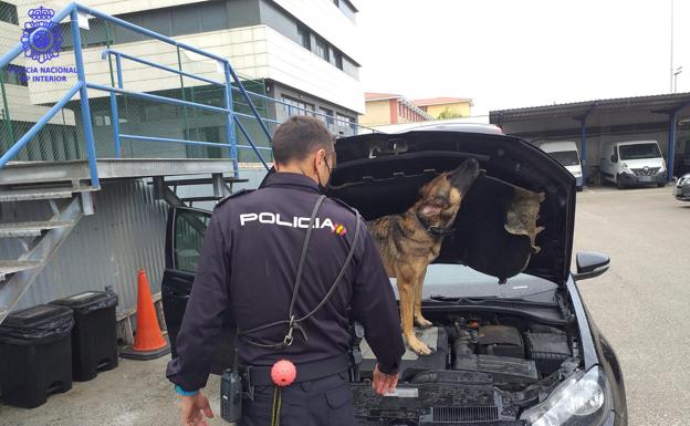 Imagen principal - Desarticulada una organización criminal de origen latino que distribuía droga en Cantabria