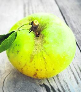 El color del fondo de la piel es verde blanquecino o amarillo verdoso. La superficie tiene tonalidades tostadas. Sabor: muy ácido y ligeramente amargo.