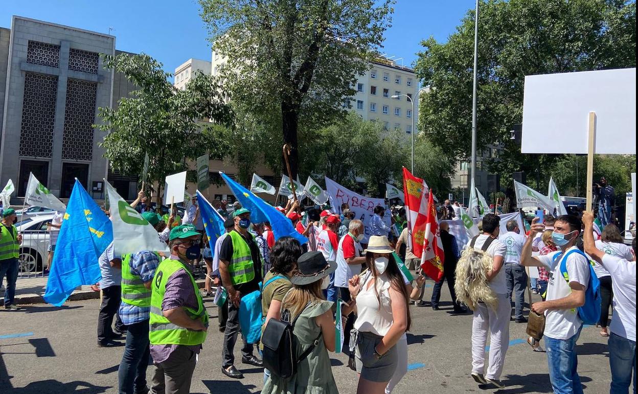 La concentración está autorizada para un máximo de 500 personas.